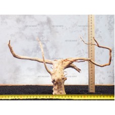 Корень Азалии №115 для аквариума