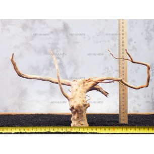 Корень Азалии №115 для аквариума