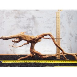 Корінь Азалії №116 для акваріума Корінь Азалії №116 для акваріума