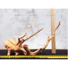 Корень Азалии №119 для аквариума