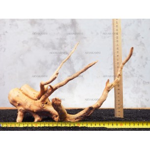 Корень Азалии №119 для аквариума