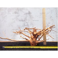 Корень Азалии №120 для аквариума