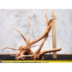 Корінь Азалії №121 для акваріума Корінь Азалії №121 для акваріума