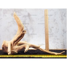 Корень Азалии №122 для аквариума