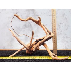 Корінь Азалії №123 для акваріума Корінь Азалії №123 для акваріума