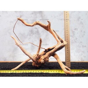 Корень Азалии №123 для аквариума