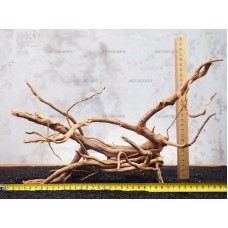 Корінь Азалії №126 для акваріума