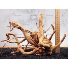 Корінь Азалії №127 для акваріума