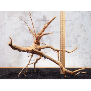 Корень Азалии №128 для аквариума