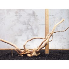 Корень Азалии №129 для аквариума