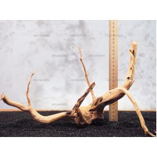 Корень Азалии №130 для аквариума