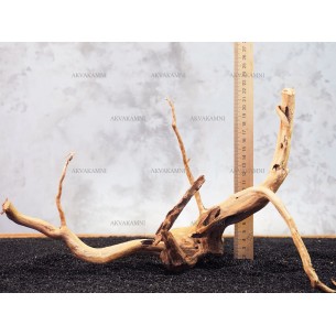 Корень Азалии №130 для аквариума