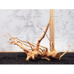 Корінь Азалії №131 для акваріума Корінь Азалії №131 для акваріума