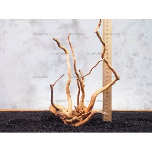 Корень Азалии №132 для аквариума