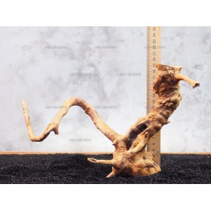 Корень Азалии №133 для аквариума