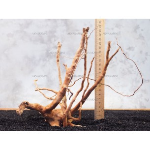 Корень Азалии №134 для аквариума