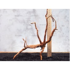 Корень Азалии №135 для аквариума