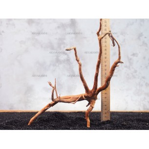 Корень Азалии №135 для аквариума