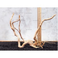 Корень Азалии №136 для аквариума