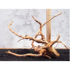 Корень Азалии №137 для аквариума