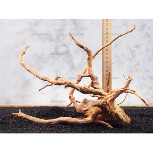 Корень Азалии №137 для аквариума