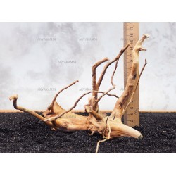 Корінь Азалії №138 для акваріума Корінь Азалії №138 для акваріума