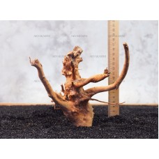 Корень Азалии №139 для аквариума