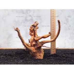 Корень Азалии №139 для аквариума