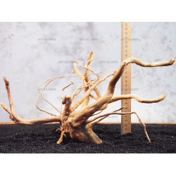 Корінь Азалії №140 для акваріума