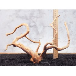Корінь Азалії №141 для акваріума