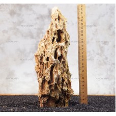 Камень Дракон 201 (1.4kg)