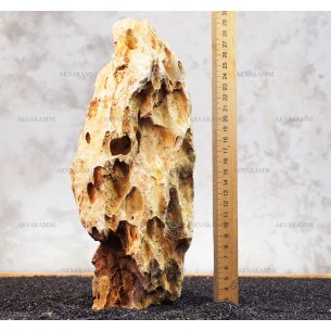 Камень Дракон 203 (1.7kg)