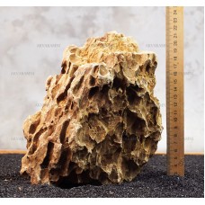 Камень Дракон 205 (1.9kg)