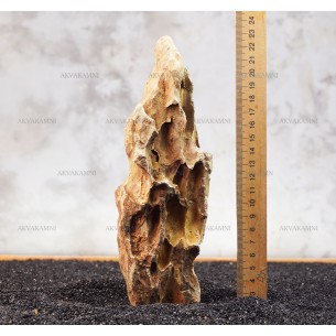 Камень Дракон 211 (1.6kg)