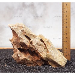 Камінь Дракон 216