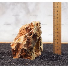 Камень Дракон 217