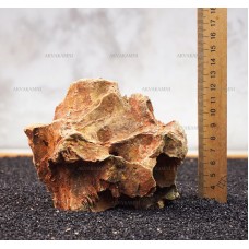 Камень Дракон 218