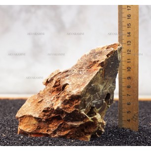 Камень Дракон 219