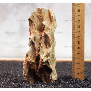 Камень Дракон 220