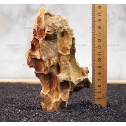 Камінь Дракон 221