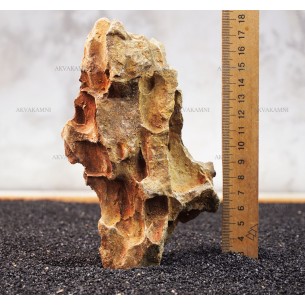 Камень Дракон 221