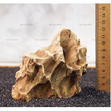 Камень Дракон 222