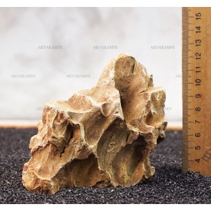 Камень Дракон 222