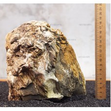 Карпатский камень 37 (3.5kg)