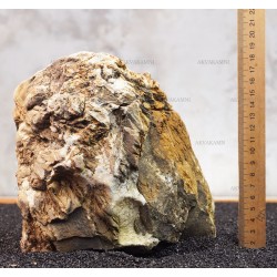 Карпатський камінь 37 (3.5kg)