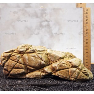 Карпатский камень 38 (3.5kg)