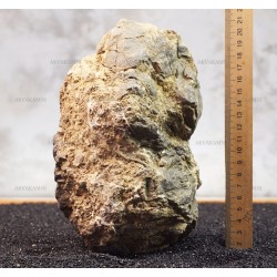 Карпатський камінь 39 (3kg)