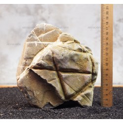 Карпатський камінь 40 (3kg)