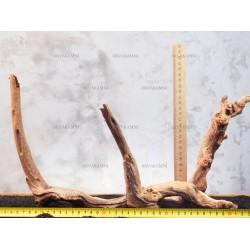 Корінь кораловий №156 для акваріума