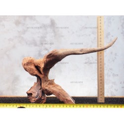 Корінь кораловий №161 для акваріума